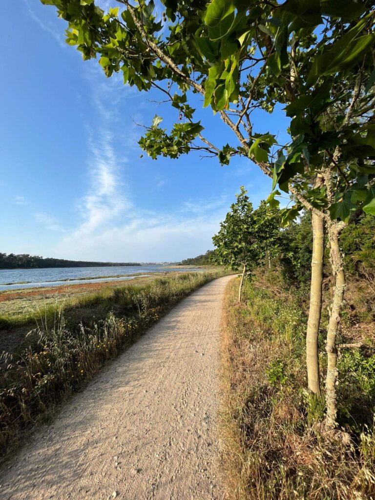 Bikepacking Portugal — gravel road alongside Lagoa de Óbidos