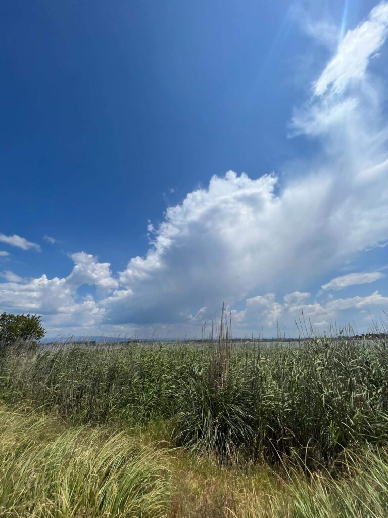 Bikepacking Portugal — rain showers near Aveiro